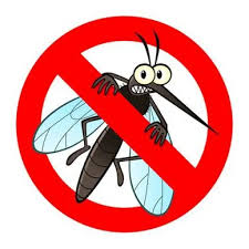 Difendiamoci dalle zanzare!